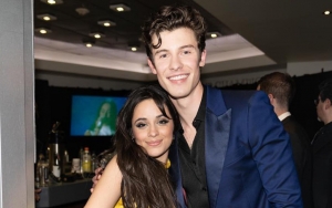 Shawn Mendes and Camila Cabello Announce Split After 2 Years of Dating