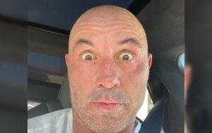 Joe Rogan Apologizes for Calling Black People 'Apes' And Using N-Word, Insists He's Not Racist 