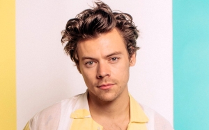Artist of the Week: Harry Styles