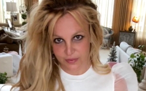 Britney Spears Takes 'Little Social Media Hiatus' After Revealing 10-Year Music Break Amid Pregnancy