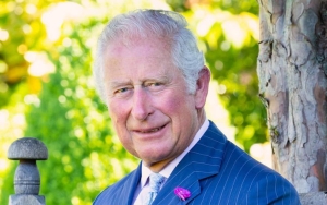Prince Charles Co-Signs Initiative to Put Masks on Cows