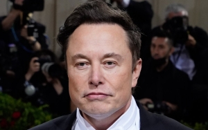 Elon Musk Believes His Companies Will Do Good for the Future of Humanity