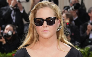 Amy Schumer Likens Met Gala's 2022 Theme Concept to 'Vibrator'