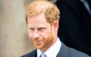 Prince Harry Escapes Unscathed After a Tumble Off Horse During Polo Match
