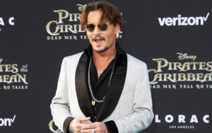 Johnny Depp's Relationship With the Mystery Redhead Revealed