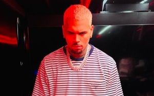 Chris Brown Calls Out 'Lame' Artists While Gushing Over His 'Cool' Fans 