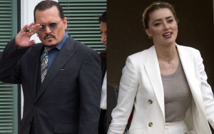 Johnny Depp's Assistant Admits That the Actor Reportedly 'Kicked' Amber Heard in the Head
