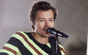 Harry Styles Pauses Mid-Song at Concert to Give His Mic to a Fan for Epic Proposal
