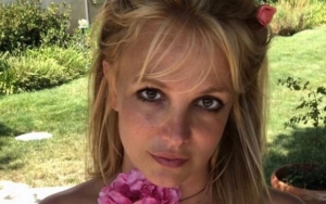  'It's Been a Few Months Since' Britney Spears Has Seen Her Sons