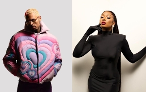 Chris Brown 'Happy' After His Meet and Greet Inspires Megan Thee Stallion to Get Close With Fans