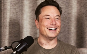 Elon Musk Calls Himself 'Autumn Chicken' as He Talks About Possibility of Having More Babies