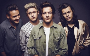 Louis Tomlinson Frustrated by One Direction's Indefinite Hiatus