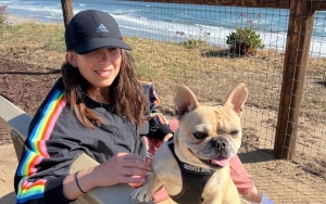 Cheryl Burke Saved From Falling Off the Wagon by Her Dog Amid Addiction Struggle