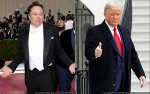 Elon Musk Lifts Donald Trump's Twitter Ban
