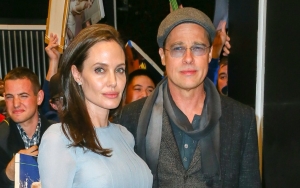 Angelina Jolie Calls Brad Pitt's Lawsuit Against Her 'Frivolous' and 'Malicious' 