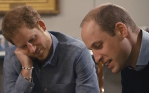 Prince Harry: Royal Family Are Happy to Lie to Protect William but Refuse to Tell Truth to Save Me