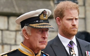 Prince Harry Brags About Targeting King Charles' Car With a Fighter Jet During Practice Attack Drill