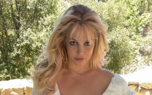 Britney Spears Not Too Happy With Fans for Calling Cops on Her