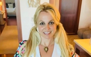 Britney Spears' Family Allegedly Plan Intervention, Label Her Behaviors 'Alarming'