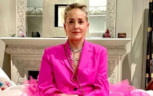 Sharon Stone Lost Child Custody Due to 'Basic Instinct', Judge Told Little Son She Made Sex Movies