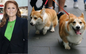 Sarah Ferguson Claims She's Not 'Weird' for Thinking Queen's Corgis Sense the Late Monarch's Ghost
