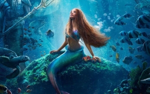 Halle Bailey Wishes There Were Black Mermaid to Boost Her 'Self-Worth' as Child