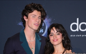 Camila Cabello 'Dating Again' After Brief Reconciliation With Shawn Mendes