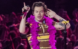 Harry Styles Pauses Concert to Give Pregnant Fan a Bathroom Break