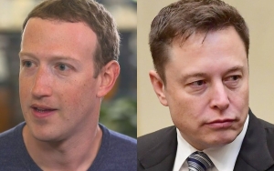 Mark Zuckerberg Offered to Fight Elon Musk at Rome's Ancient Gladiator Site
