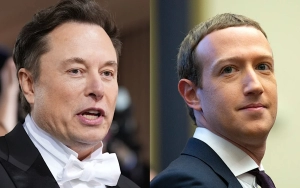 Elon Musk Dubs Mark Zuckerberg a 'Chicken' for Saying He Wants to 'Move On' From Their Cage Fight