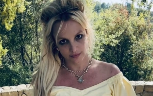 Britney Spears Hid Her Fear While Performing With Snake at MTV VMAs