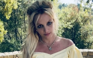 Britney Spears Strips Down to Birthday Suit in New NSFW Photo
