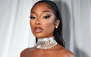 Megan Thee Stallion Baffled by Pardison Fontaine's Diss: Why Are You Talking About Me?