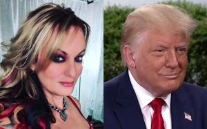Stormy Daniels Insists Donald Trump's Indictments Should Be Enough to Send Him to Jail 