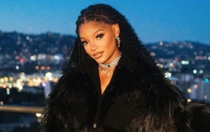 Halle Bailey Checks Troll Who Criticizes Her for Sharing Pregnancy Journey After Initially Hiding It