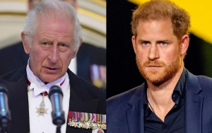 King Charles Not Planning to Ask Prince Harry to Return for Royal Duties Despite Cancer Diagnosis