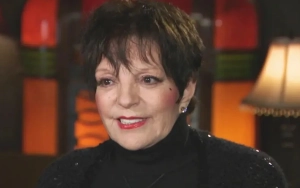 Liza Minnelli Reportedly Receives 'Round-the-Clock' Care Due to Declining Health