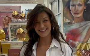 Bella Hadid Goes Daring in Revealing Dress at Cannes 2024