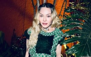 Madonna Slapped With New Lawsuit by Fan Who Likens Her 'Celebration' Tour to Porn