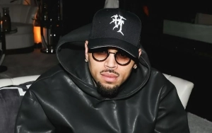 Chris Brown Scolding His Tour Crew After He's Left Dangling in the Air Due to Wire Malfunction
