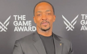 Anthony Mackie's Stand on Fan Photo Requests Sparks Debate