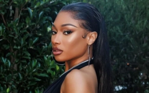 Megan Thee Stallion Loses Millions of Streams for New Album Due to Suspected Botting