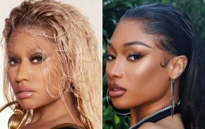 Nicki Minaj Accused of Dissing Megan Thee Stallion's Album Sales Amid Alleged Fake Streams