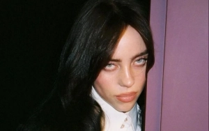 Billie Eilish Leaves Fans Worried After Sharing Pics of Her Arms With Bruises and Bite Marks