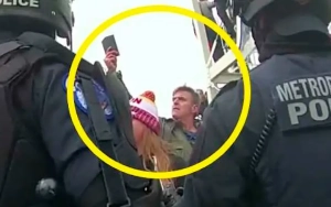 'Bob's Burgers' Star Jay Johnston Pleads Guilty to Capitol Riot Charge