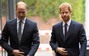 Prince William Not Interested in Squashing Feud With Prince Harry