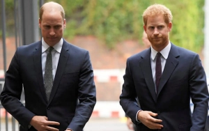 Prince William and Prince Harry's Feud Is Not 'Irreparable' 