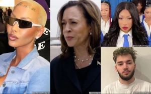Amber Rose Slammed for Criticizing Megan Thee Stallion's Performance at Kamala Harris' Rally