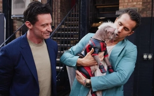Hugh Jackman Celebrates Dogpool's New Social Media Milestone