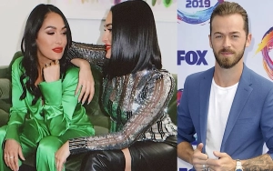 Nikki Bella's Sister Brie Urges Her to Leave Artem Chigvintsev After Domestic Violence Arrest